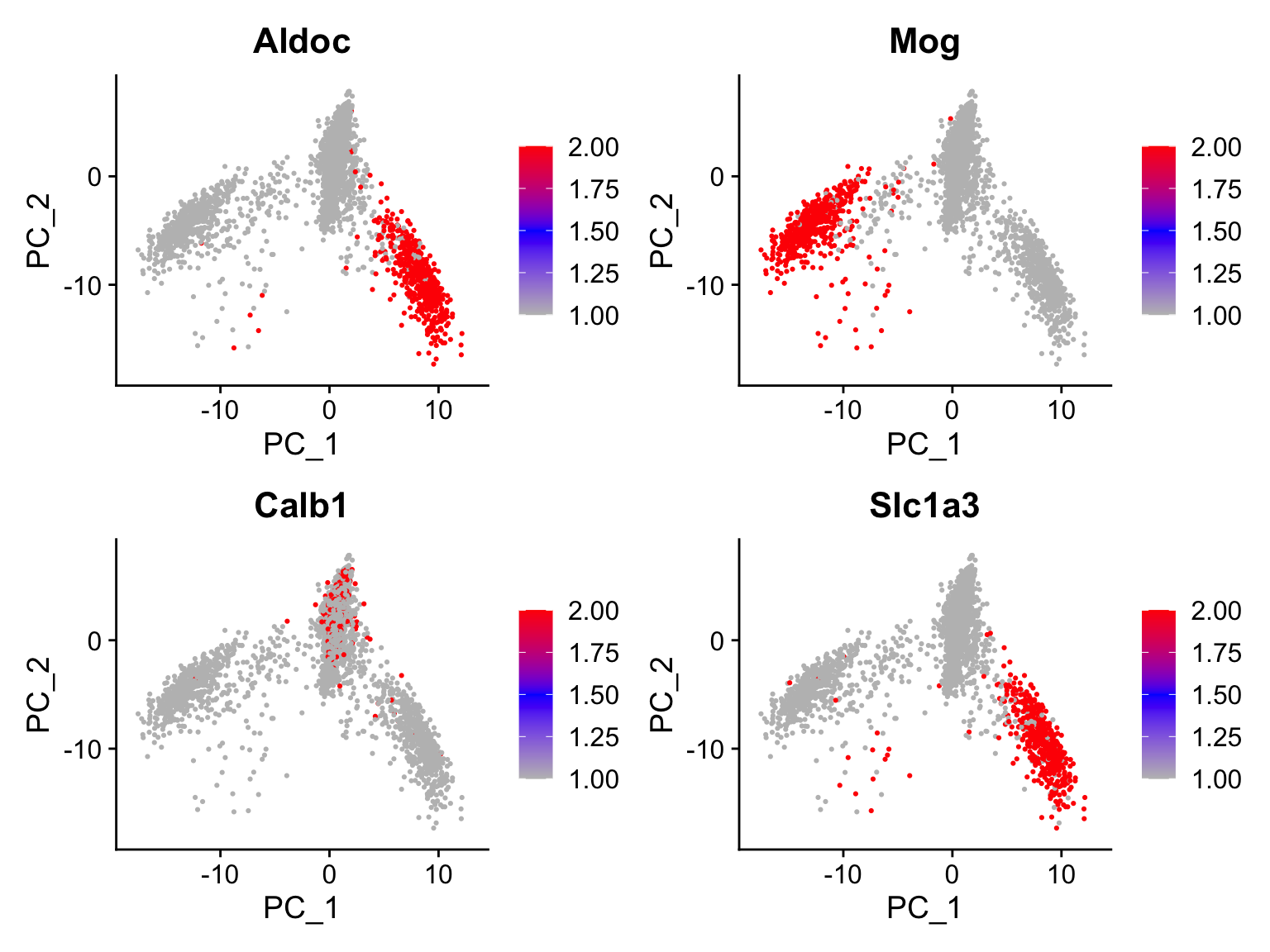 COO scRNAseq