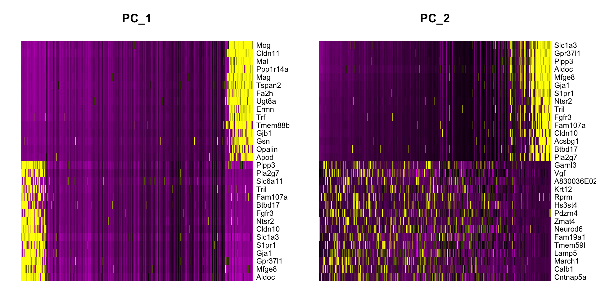 COO scRNAseq