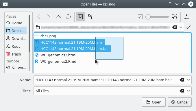 Selecting two files to upload on my Linux system by dragging the mouse. Some systems allow selecting multiple files by holding Ctrl as you click on files.